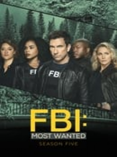 FBI: Most Wanted Saison 5 en streaming français